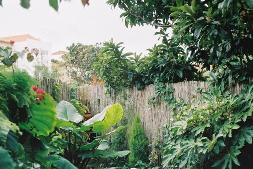 Apartment With Private Garden 포르투 객실 사진